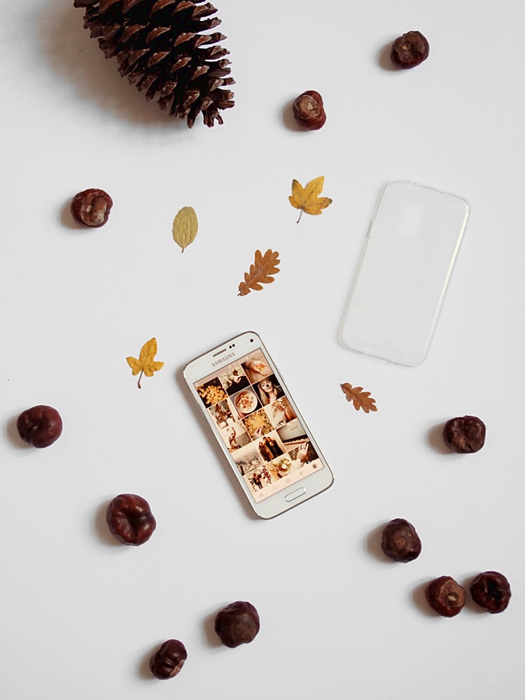 Herbst DIY | Phone Case mit bunten Blättern