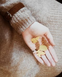 bunte Blätter sammeln, Herbst DIY