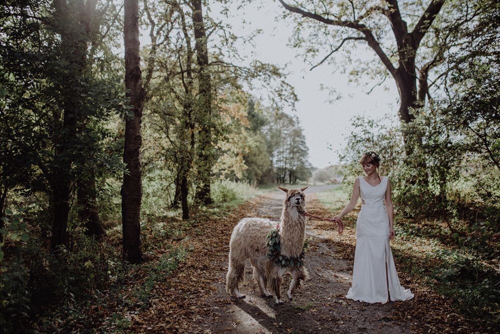 Alpaca Love Boho Wedding