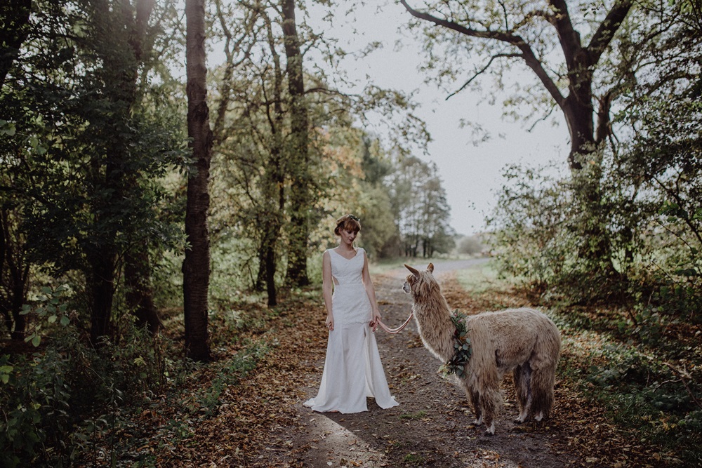 Alpaca Love Boho Wedding