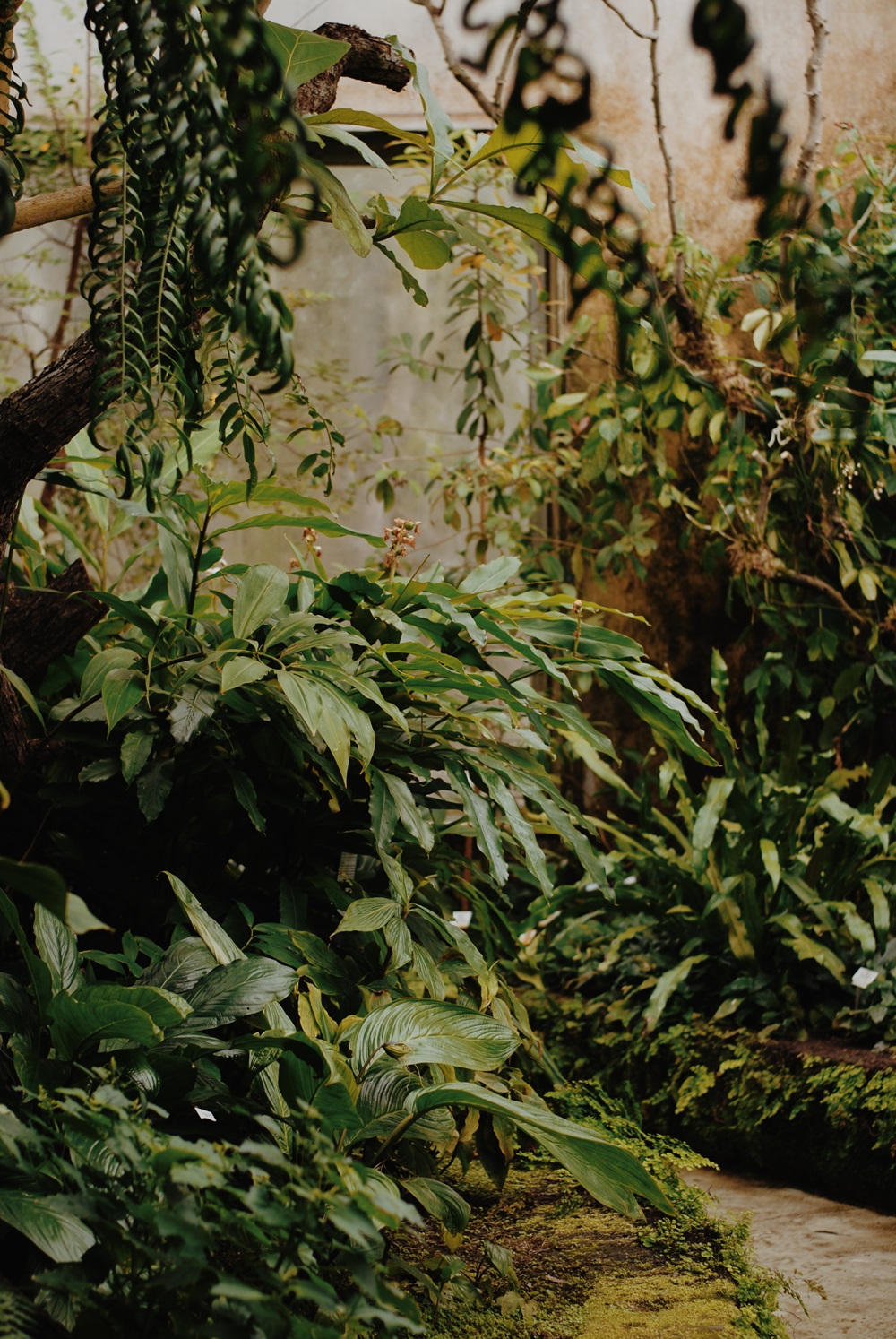 Botanischer Garten der Universität Leipzig