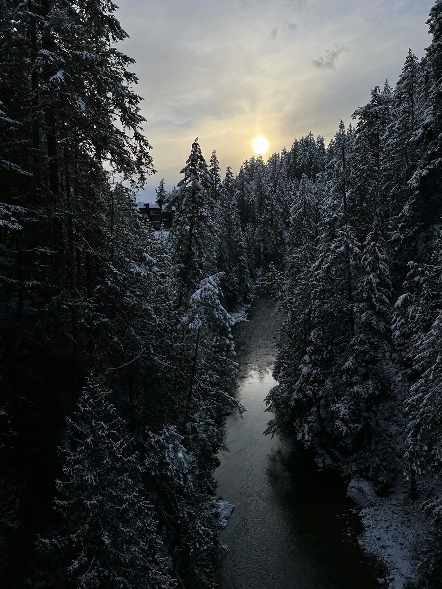 A tranquil snowy forest river scene with the sun setting behind tall trees, creating a peaceful winter atmosphere.